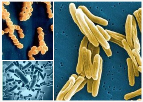 抗菌防螨功纤绵